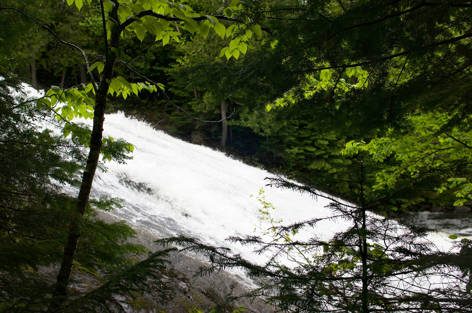 Enclume Parc Régional De La Montagne Du Diable